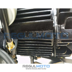Мопед Regulmoto Alpha (RM-2)