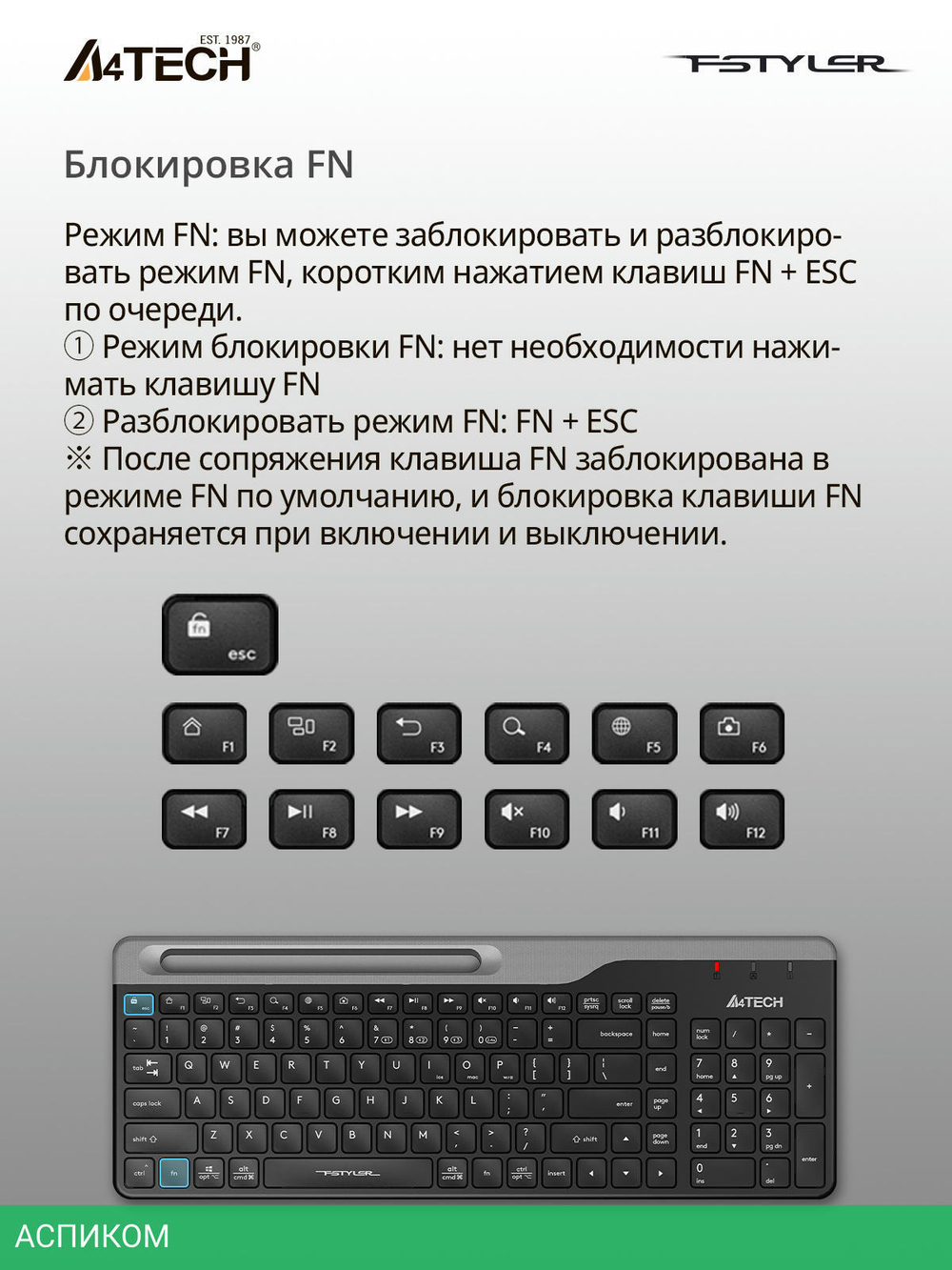 Клавиатура A4Tech Fstyler черный/серый (FBK25)