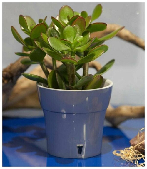 ГОРШОК Д/ЦВЕТОВ ДАЛИ 1.2Л СИНИЙ