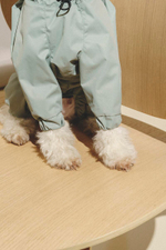 Комбинезон "Пони-комбинезони" мятный