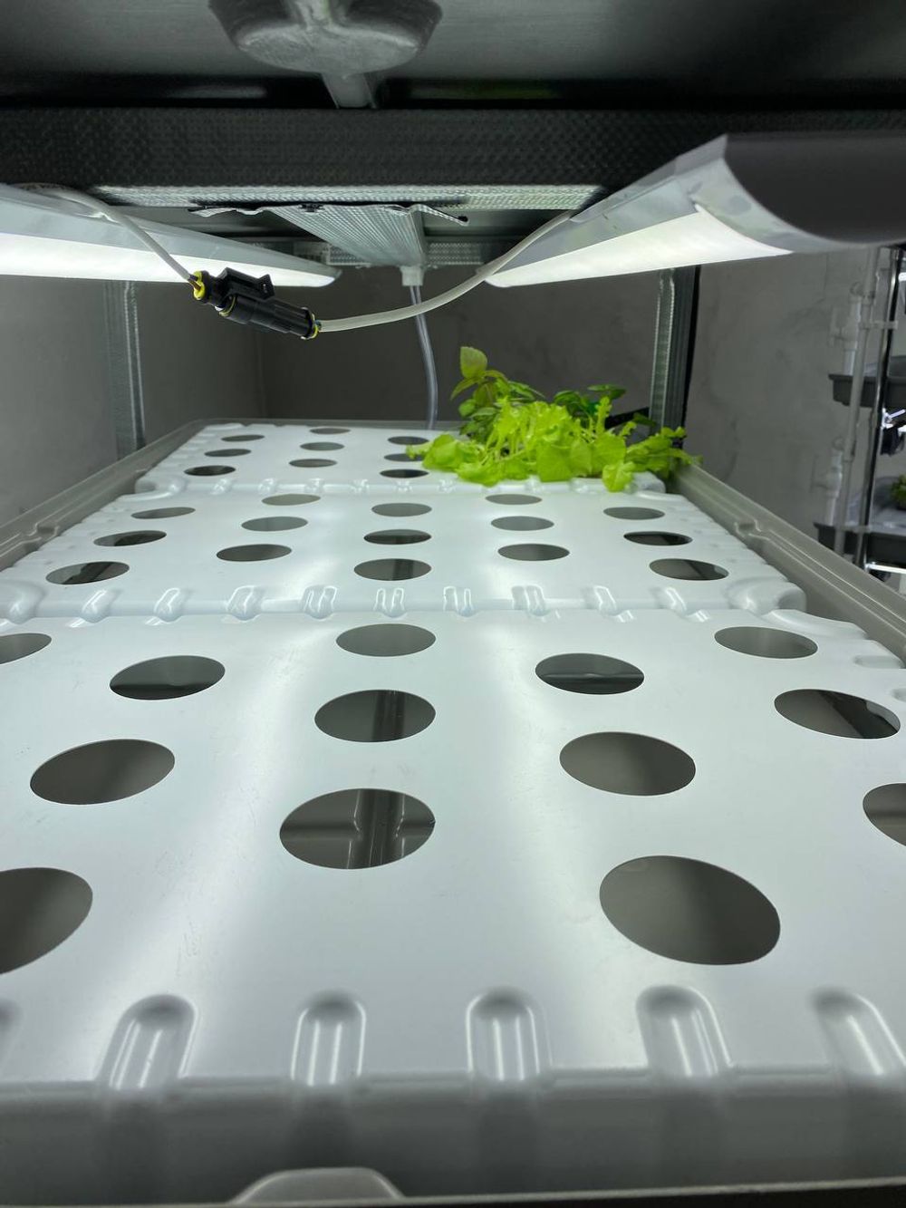 Стеллаж для микрозелени