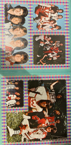 Виниловая пластинка Bay City Rollers- Rock N' Roll Love Letter LP