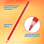 Карандаши цветные BRAUBERG PREMIUM 24 цвета + 2 чернографитных карандаша, трехгранные, грифель 3 мм.