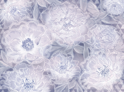 Коллекция FLORESCENCE