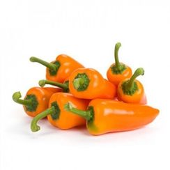 ОРАНЖ ТАРТА F1 семена перца сладкого (Rijk Zwaan | Alexagro)