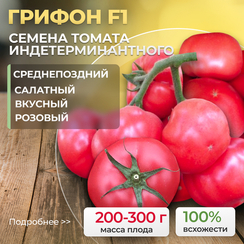 ГРИФОН F1 семена томата (Nunhems | Alexagro)