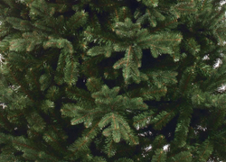 Ель искусственная Царь елка Абсолют Премиум 125 см АТП-125