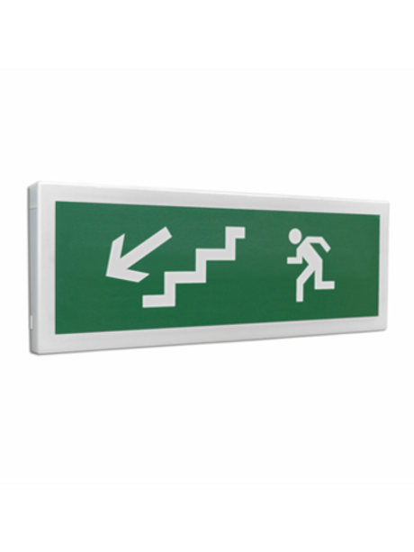 С2000 ОСТ исп.09 Человек влево вниз  Оповещатель световой  адресный(C)надписью  кор. 20 шт.