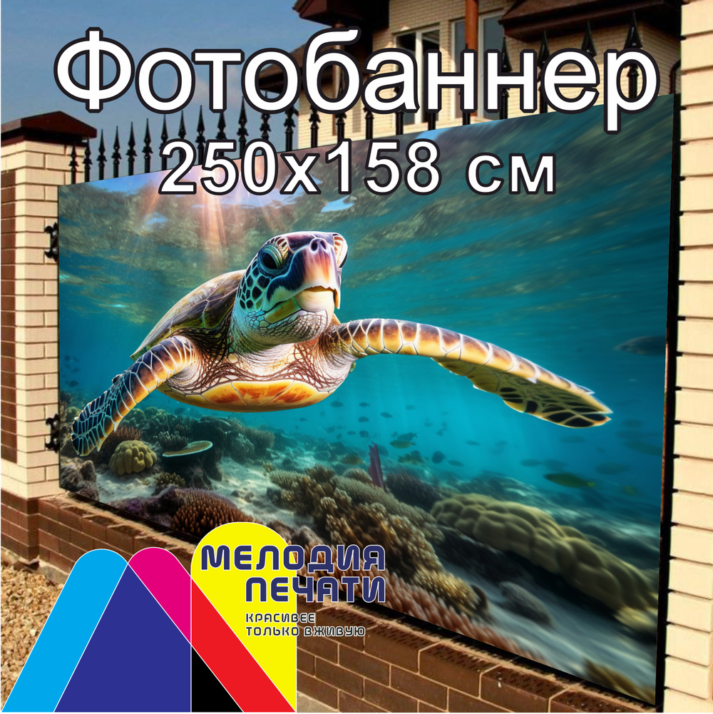Фотобаннер 250х158 см для забора