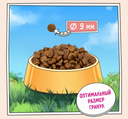 ZILLII Adult Dog Small Breed Сухой корм для взрослых собак мелких пород 15кг Индейка с Уткой