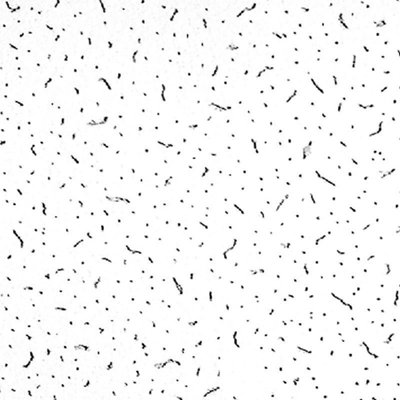 Подвесной потолок Армстронг Байкал 595х595х12 мм.