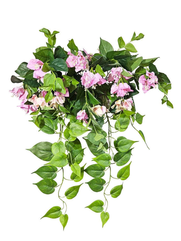 Бугенвиллия и сциндапсус в деревянном настенном кашпо