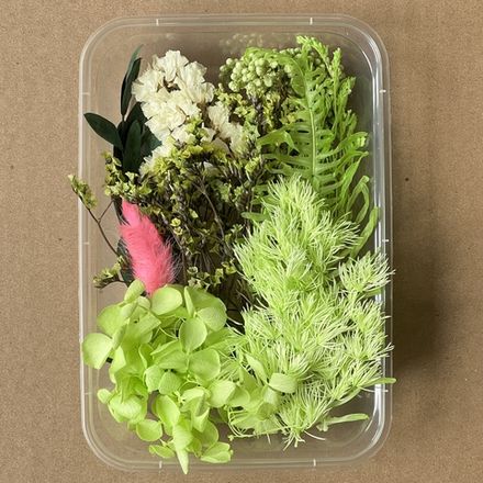 Сухоцветы набор №15