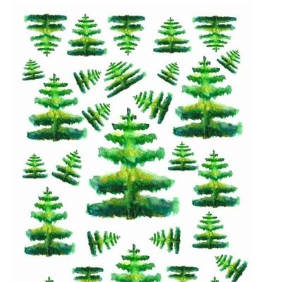 Spruce tree