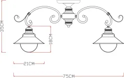 Потолочная люстра Arte Lamp
