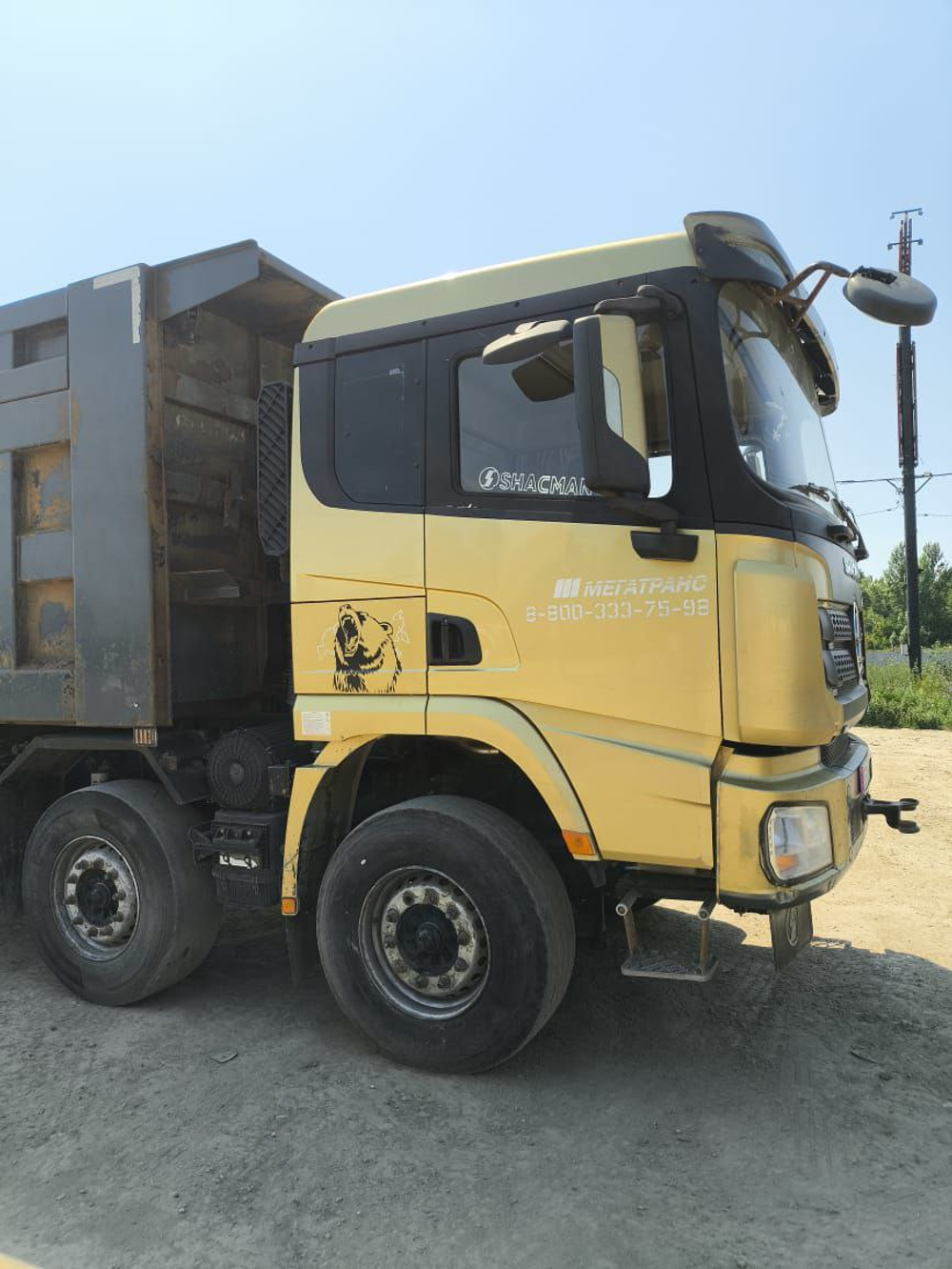 Shacman (Shaanxi) SX* 8x4 Самосвал SX33186V366 (Дизельный, 11,6 л, 423 л.с., МТ)