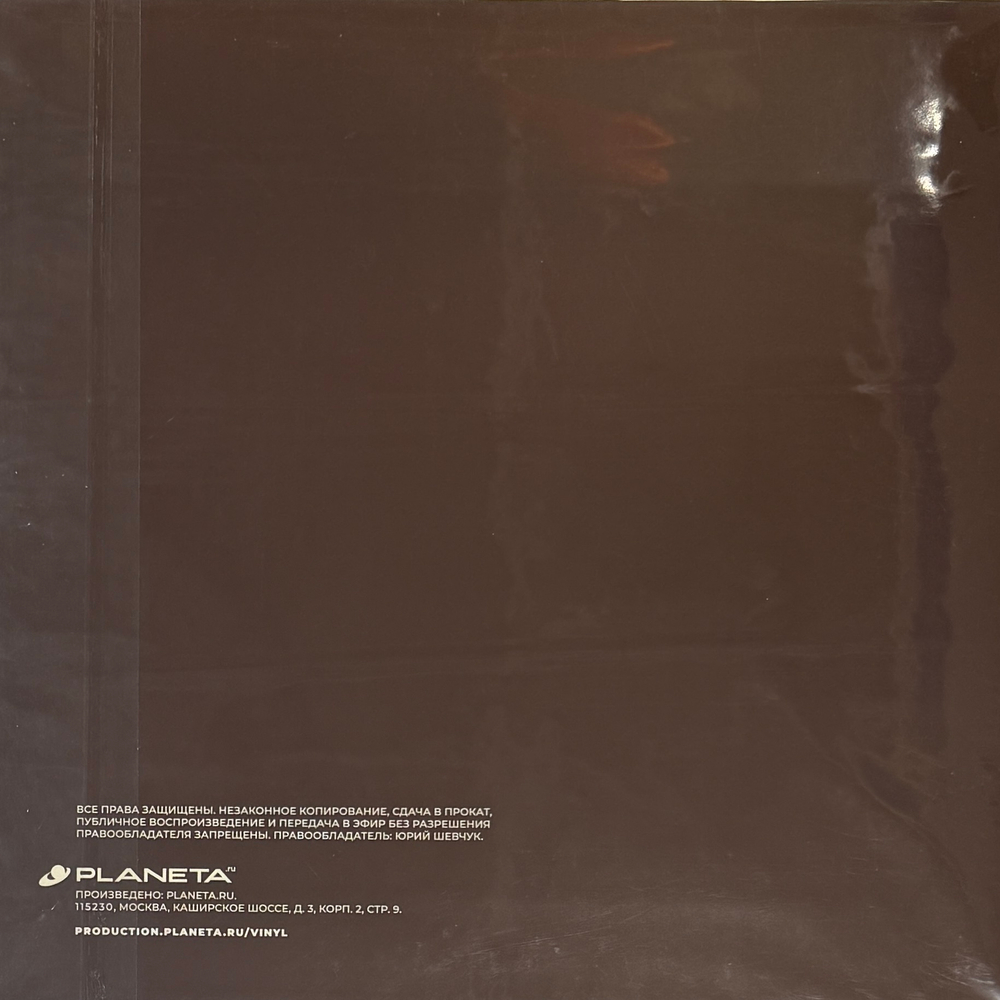 Виниловая пластинка Юрий Шевчук & Константин Казански ‎– L'Echoppe LP