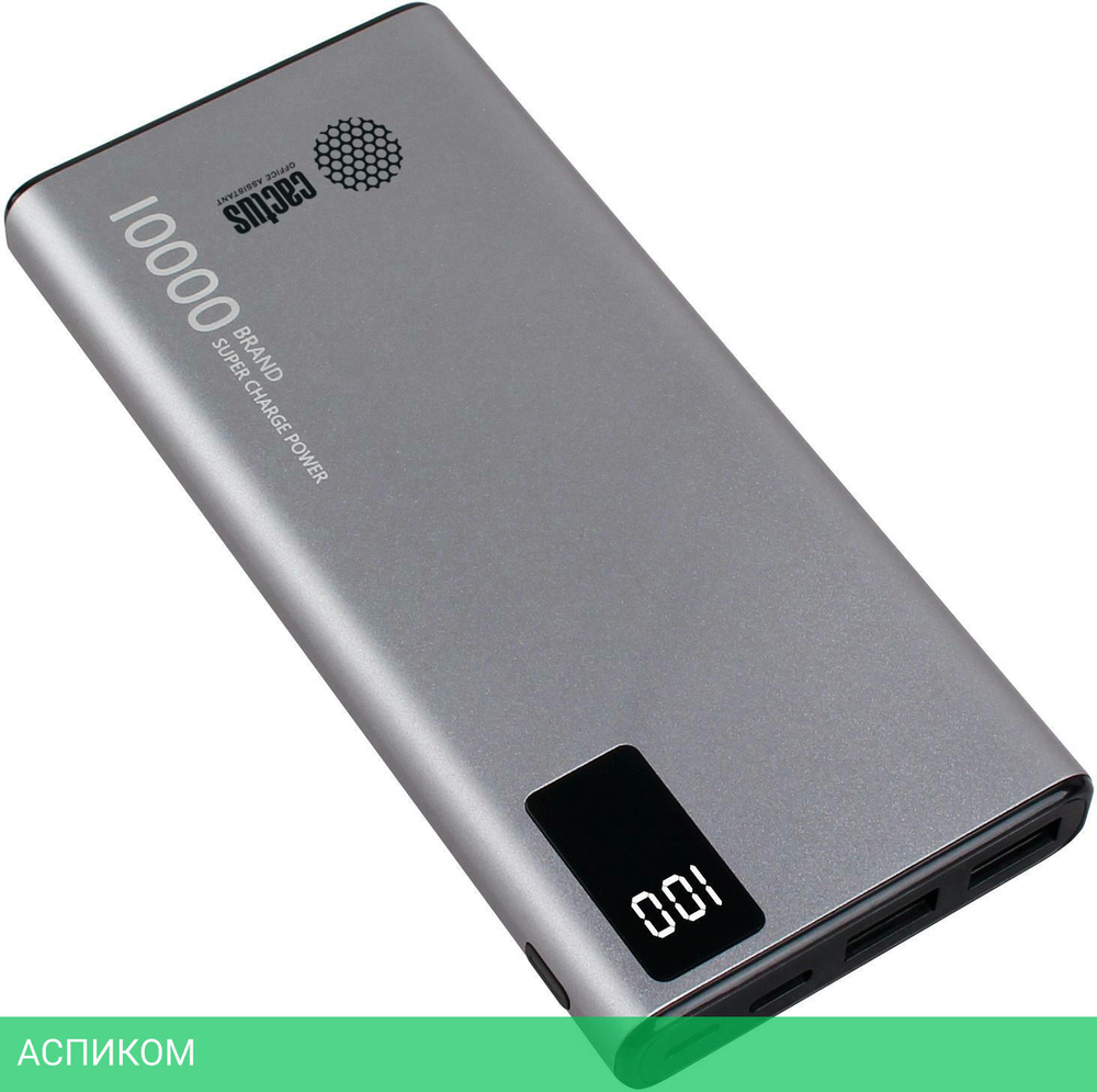 Портативное зарядное устройство Cactus CS-PBFSLT-10000 серый