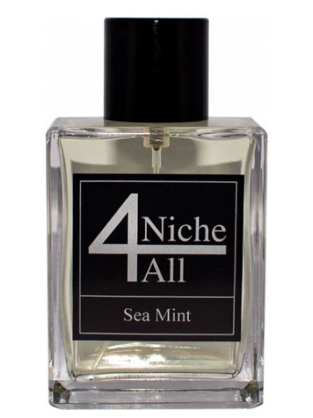 Niche4All Sea Mint