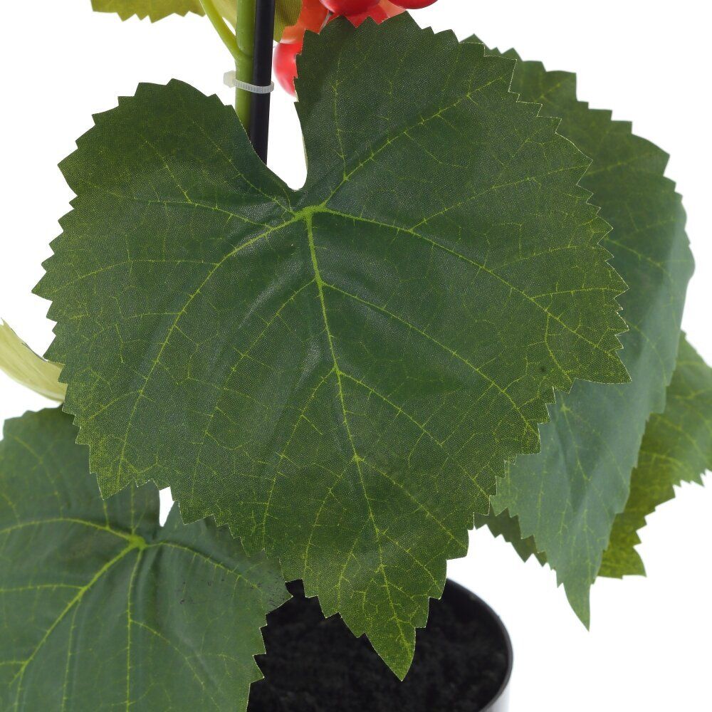 GAEM Дерево искусственное "Виноград", L20 W20 H75 см