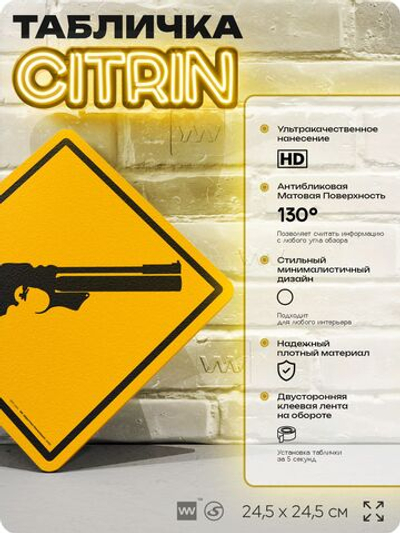 Табличка декоративная "Пистолет для спортивной стрельбы" на дверь и стену, спортивная, информационная, декоративный знак, 24,5х24,5 см, пластиковая, Айдентика Технолоджи