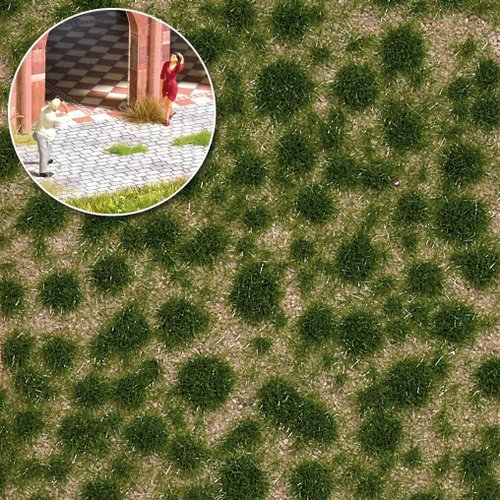 Пучки травы короткие, конец лета