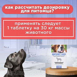Таблетки против гельминтов АВЗ ДИРОНЕТ 1000 для собак крупных пород, 6 таблеток