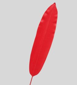 TR 572LL Банановый лист