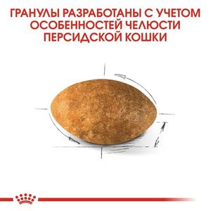 Сухой корм Royal Canin Persian Adult для взрослых персидских кошек от 12 месяцев