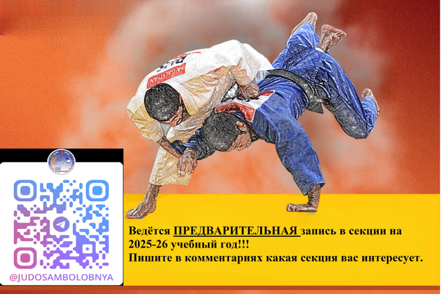 Получите качественные тренировки по дзюдо и самбо в Лобне!