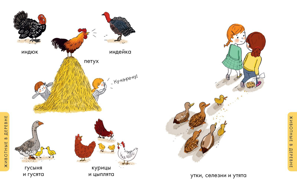 Я познаю мир. Животные