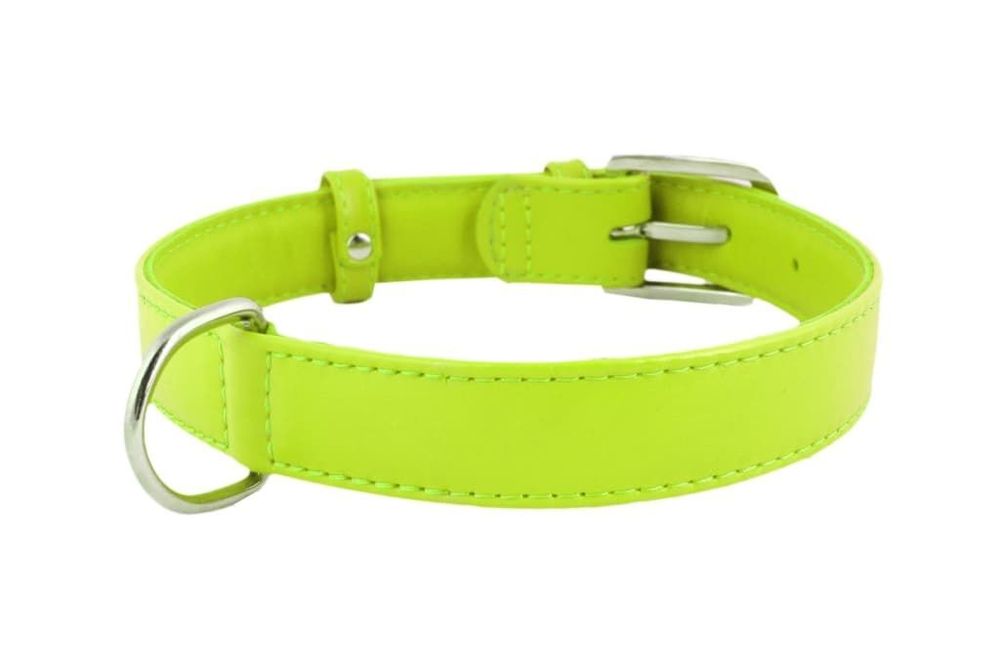 Ошейник &quot;CoLLaR Glamour&quot; без украшений зеленый ширина 25мм, длина 38-50см