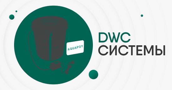 DWC системы