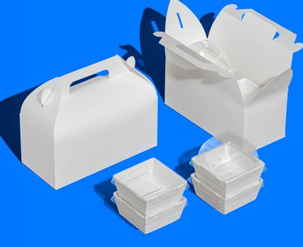 Упаковка с ручками ForGenika HANDLE DOM White 260*120*120 мм ( 25 шт./уп., 150 шт./кор.)