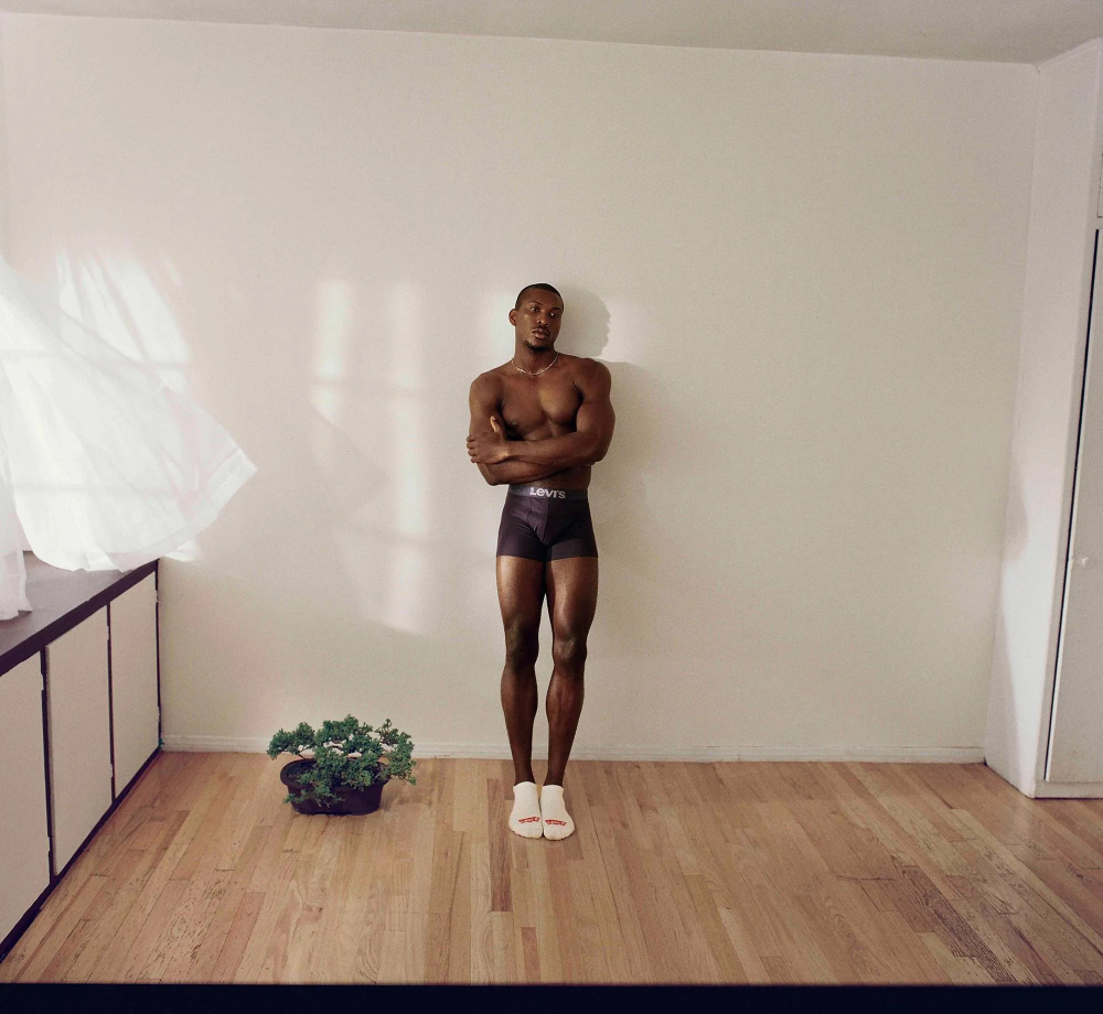 Трусы мужские ( набор 2 шт. ) LEVI'S SOLID BASIC BOXER BRIEF ORGANIC CO 2P