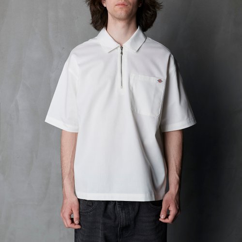 Поло мужское Dickies Cadiz Quarter Zip артикул:DK0A88PIC481 - купить в магазине Дайс