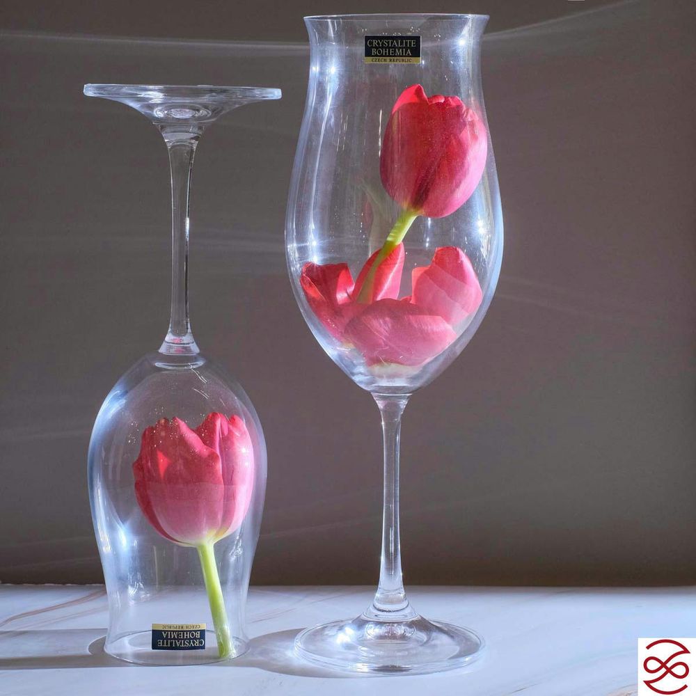 Набор бокалов для вина Crystalite Bohemia Safia 490мл (6 шт)