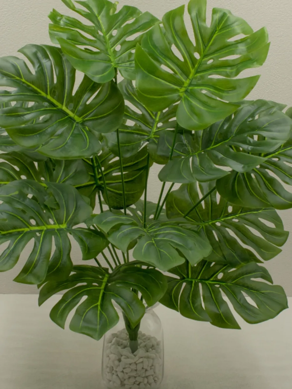 Куст монстера, 15 листьев