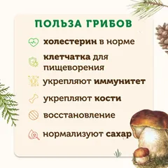 Грибы белые замороженные / 500 гр