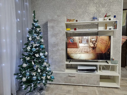 Гостиная «МГС 9»