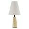 Настольная лампа ST Luce Earthy SL1194.404.01