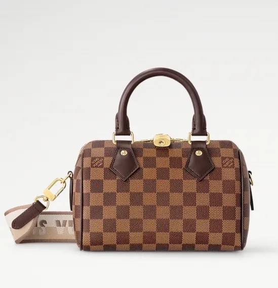 Сумка Louis Vuitton Speedy Damier Ebene