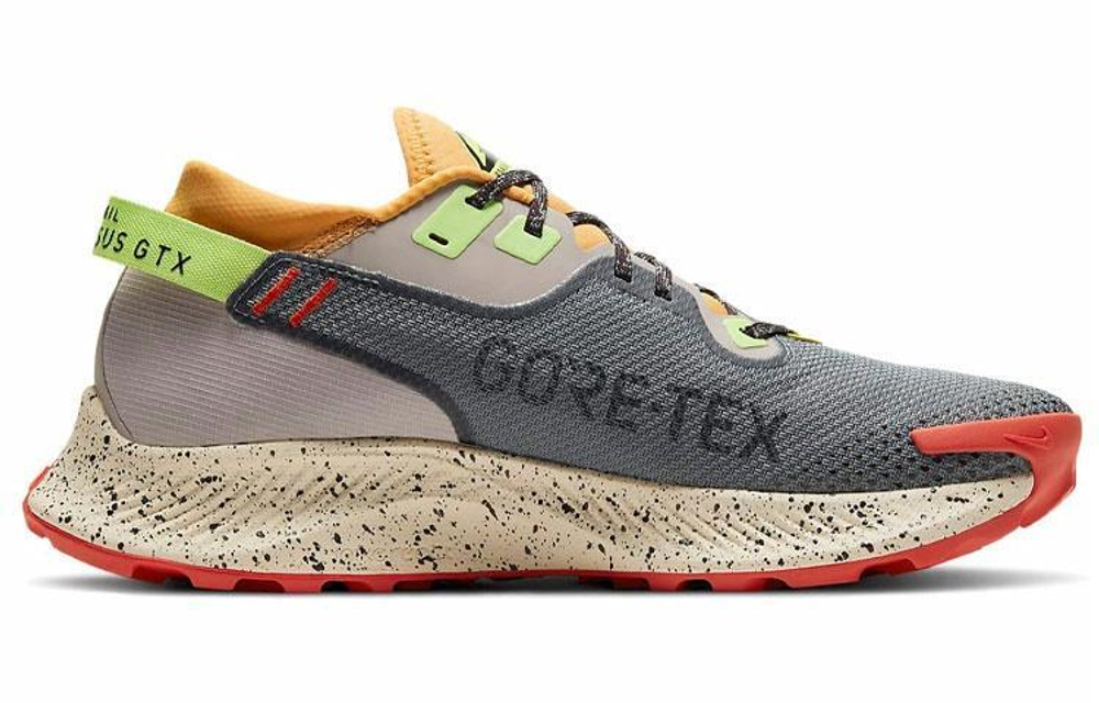 Кроссовки Nike Pegasus Trail 2 Gore-Tex