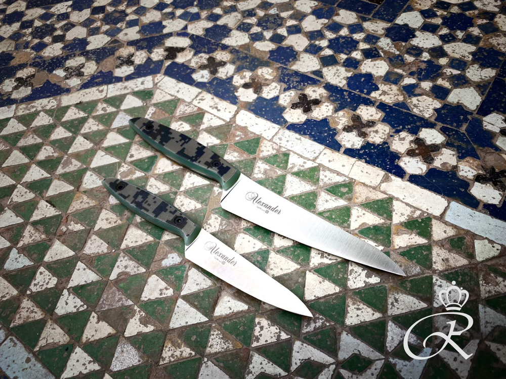 🏆Кухонный нож Alexander M PRO N690 Camo G10