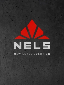 Огнебиозащитный состав для древесины NELS FIREBLOCK / антипирен для наружных и внутренних работ / 2 группа, красная / 10 л