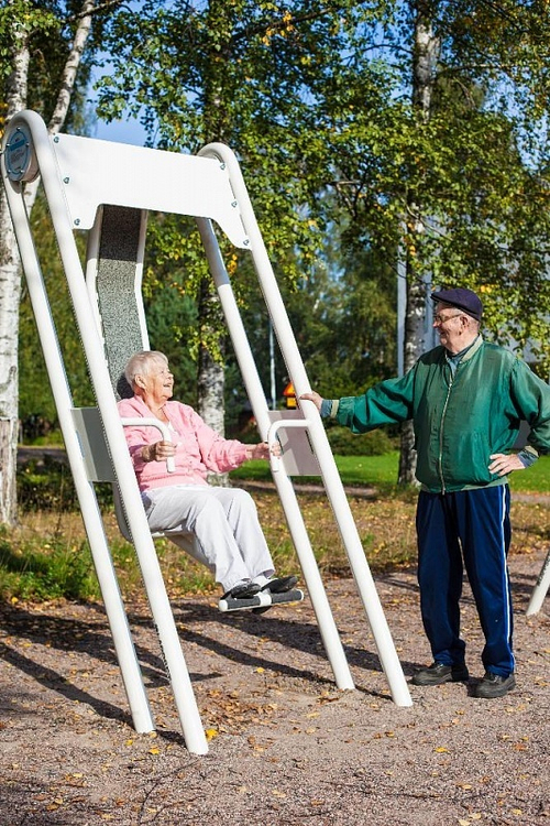 Элемент спортивной площадки - тренажер для спины