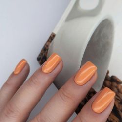 Monami Гель-лак 497