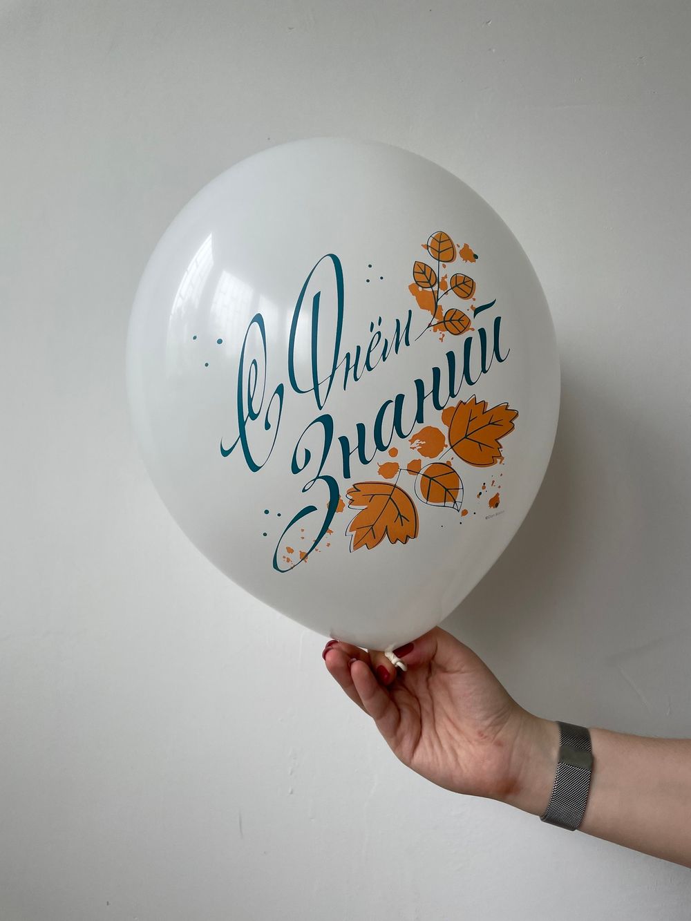 Шар (12''/30 см) С Днем Знаний, Белый (200), пастель, 1 ст, 25 шт.  Изображение3