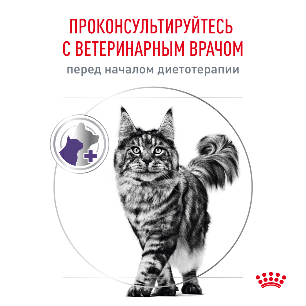 Корм для кастрированных котов и кошек , Royal Canin VCN Neutered Satiety  Balance, с момента операции до 7 лет купить с доставкой в интернет-магазине  зоогастроном.ру
