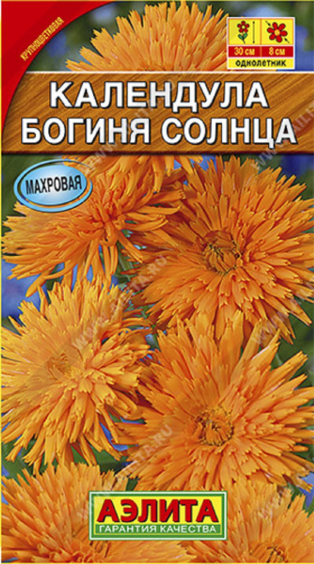 Семена Календула Богиня солнца